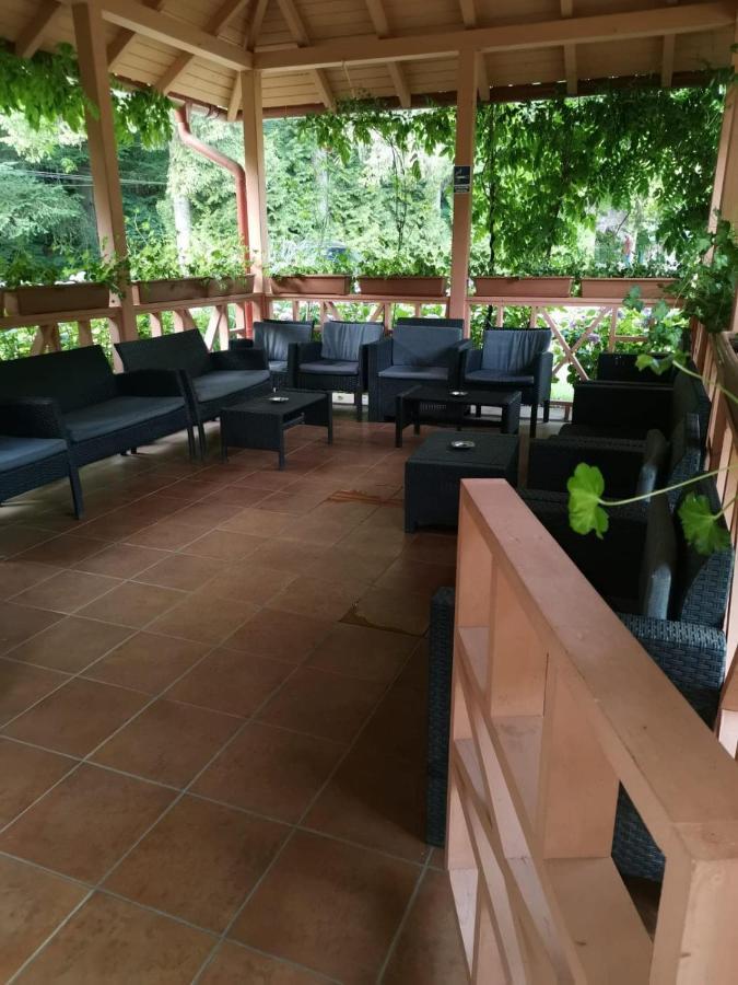 Vila Cerbul Albastru Hotel Moneasa Exterior photo